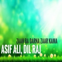 Thumbnail for the Asif Ali - Zaan Ba Darna Zaar Kama link, provided by host site