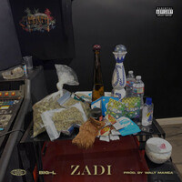 Thumbnail for the Big L - ZADI link, provided by host site
