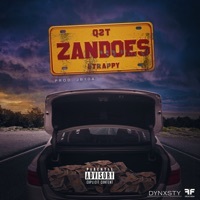 Thumbnail for the Q2T - Zandoes link, provided by host site