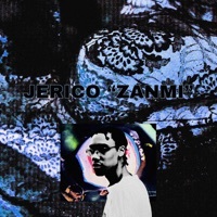Thumbnail for the Jerico - Zanmi link, provided by host site