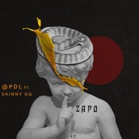 Thumbnail for the PDL - ZAPO link, provided by host site