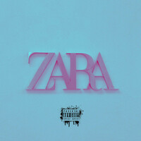 Thumbnail for the Valley - Zara link, provided by host site