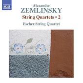Image of Escher String Quartet linking to their artist page due to link from them being at the top of the main table on this page