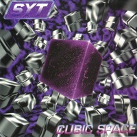 Thumbnail for the SYT - Zero Bug link, provided by host site