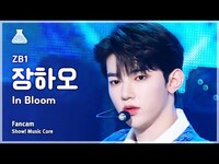 Thumbnail for the ZEROBASEONE - [예능연구소] Zhang Hao - In Bloom(제로베이스원 장하오 - 인 블룸) FanCam | Show! MusicCore | MBC방송 link, provided by host site