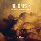 Thumbnail for the Phronesis - Zieding link, provided by host site