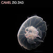 Thumbnail for the Camel - Zig Zag link, provided by host site