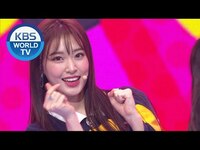 Thumbnail for the Weeekly - (위클리) - Zig Zag (Music Bank) | KBS WORLD TV link, provided by host site
