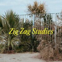 Thumbnail for the Johannes Albert - Zig Zag Studies link, provided by host site