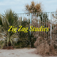 Thumbnail for the Johannes Albert - Zig Zag Studies link, provided by host site