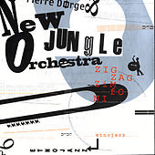 Thumbnail for the Irene Becker - Zig Zag Zimfoni link, provided by host site