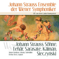 Thumbnail for the Franz Lehár - Zigeunerliebe: Hör ich Cymbalklänge link, provided by host site