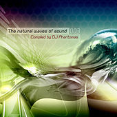 Thumbnail for the Ultravoice - Zik-Zak link, provided by host site