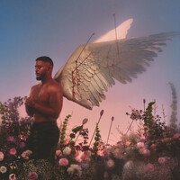 Image of Slimane linking to their artist page due to link from them being at the top of the main table on this page