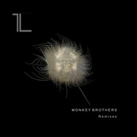 Thumbnail for the ARTBAT - Zing (Monkey Brothers Remix) link, provided by host site