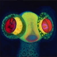 Thumbnail for the Oh Sees - Zipper link, provided by host site