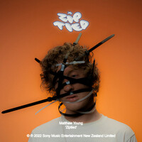 Thumbnail for the Matthew Young - Ziptied link, provided by host site
