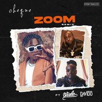 Thumbnail for the Cheque - ZOOM (Remix) link, provided by host site
