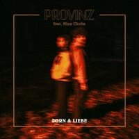 Thumbnail for the Provinz - Zorn & Liebe link, provided by host site