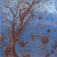 Thumbnail for the Arne - Zorni Kot link, provided by host site