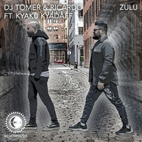 Thumbnail for the DJ Tomer - Zulu link, provided by host site