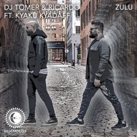 Thumbnail for the DJ Tomer - Zulu link, provided by host site