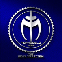 Thumbnail for the Pulsedriver - Zum Tanzen geboren - Topmodelz Remix link, provided by host site