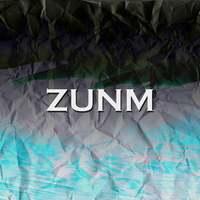 Thumbnail for the DJ Yella - Zunm link, provided by host site