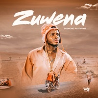 Thumbnail for the Diamond Platnumz - Zuwena link, provided by host site