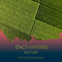 Thumbnail for the White Noise Nature Sounds Baby Sleep - zZz Enchanting Nature Field Recordings zZz link, provided by host site